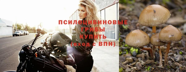 марки nbome Новокубанск