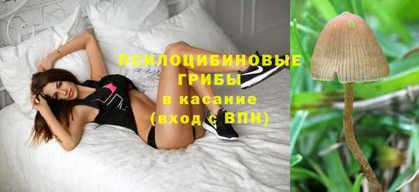 PSILOCYBIN Нягань