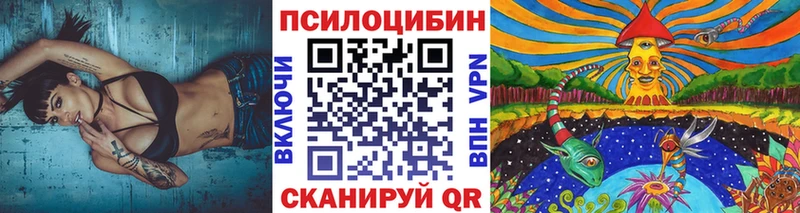 Галлюциногенные грибы Psilocybe даркнет сайт Павловск